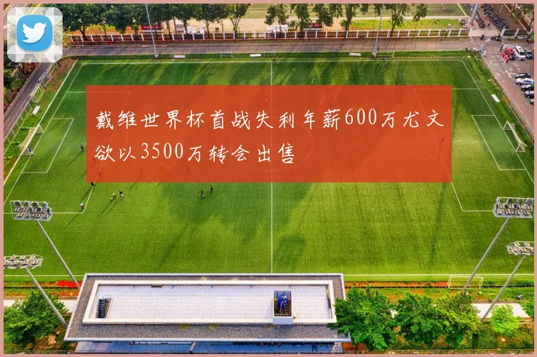戴维世界杯首战失利年薪600万尤文欲以3500万转会出售