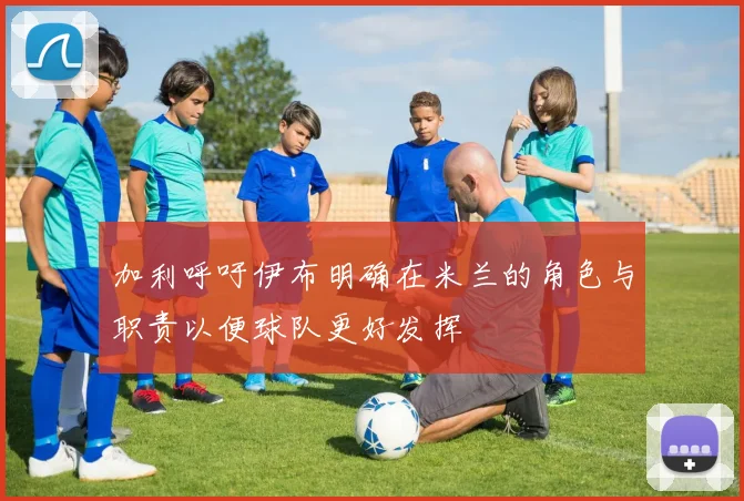 加利呼吁伊布明确在米兰的角色与职责以便球队更好发挥
