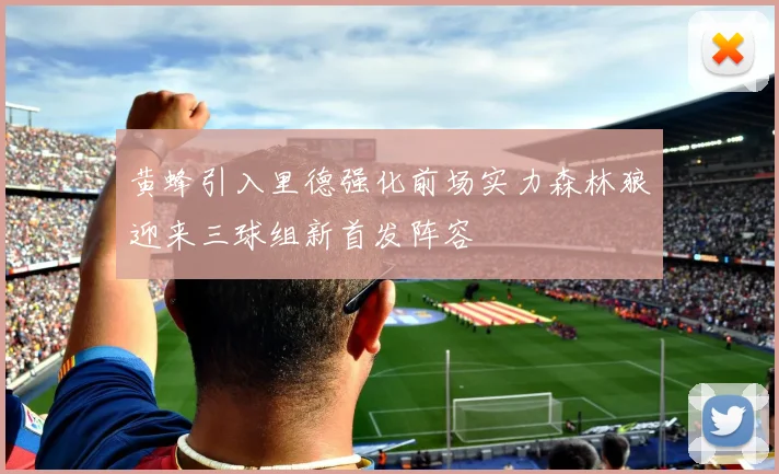 黄蜂引入里德强化前场实力森林狼迎来三球组新首发阵容